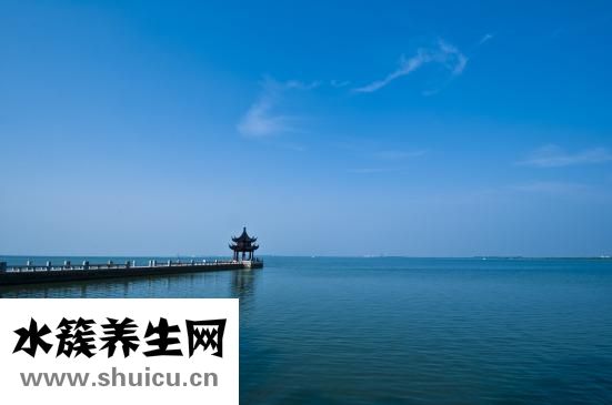 粟米是什么米
