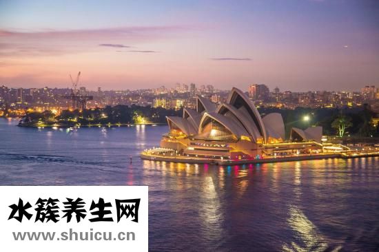 西洋参价格表