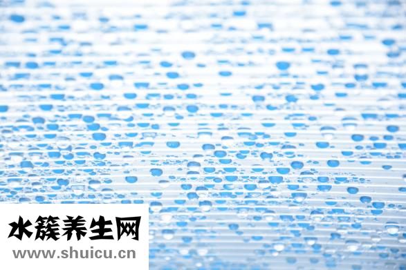 燕窝的营养