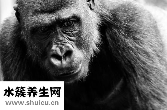 生化妊娠症状