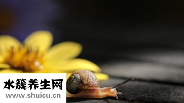 温度计怎么看水银线