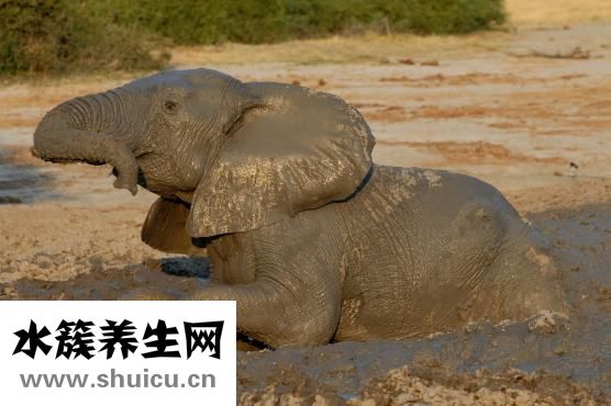 生化妊娠症状