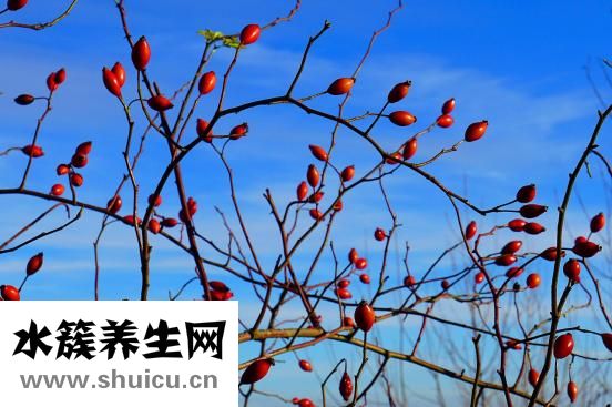 神经受损怎样恢复