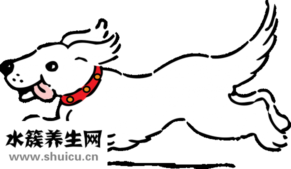 舌苔发黄怎么办