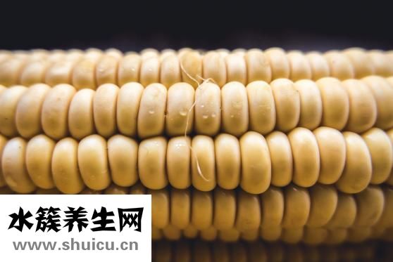 玉米煮多长时间