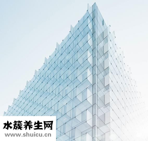 粉丝好消化吗