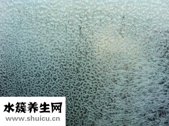 透明质酸是什么