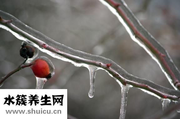 水果超市保鲜柜