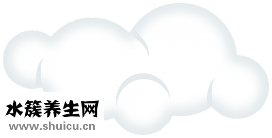煮饭要放多少水