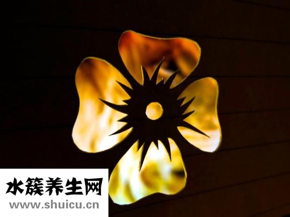 氨基葡萄糖片