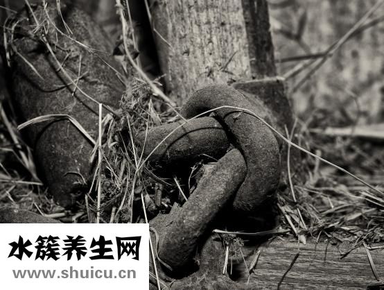 酸奶会胖吗