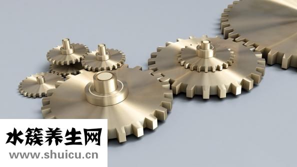 鸭血粉丝汤怎么做