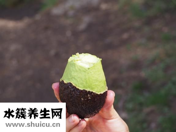 生酮饮食可以吃什么