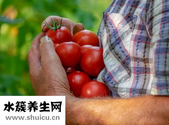 氨基葡萄糖片
