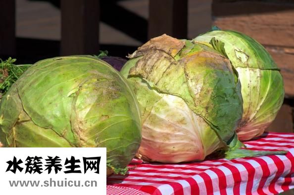 水煮白菜减肥方法
