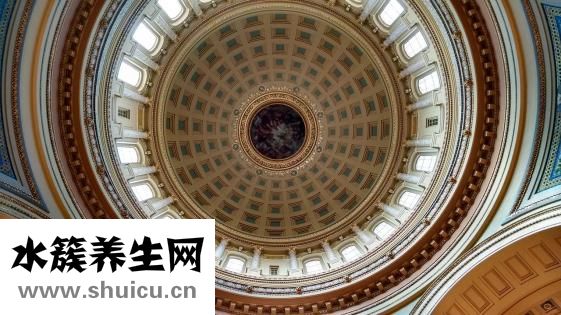舒肝益脾颗粒