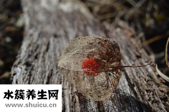 胃肠神经官能症