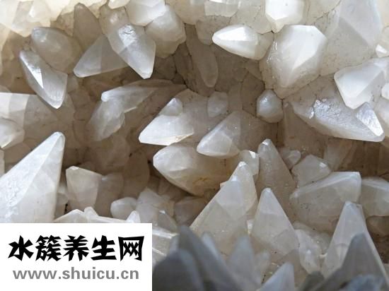 松花粉功效
