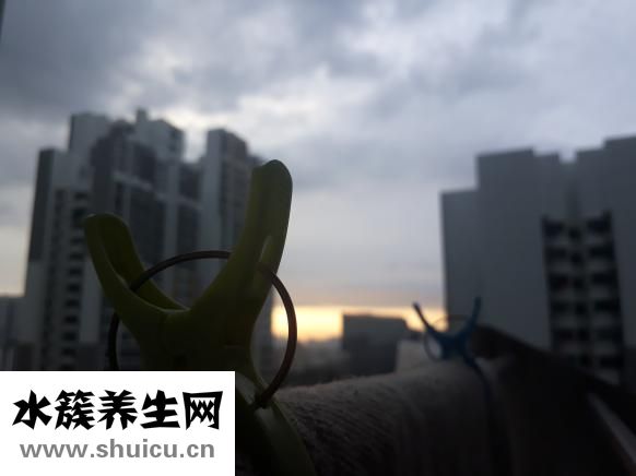 润肠通便最有效方法