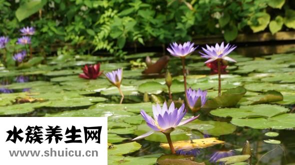 眼袋眼皱纹