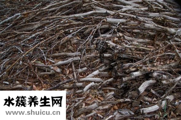 水果酸奶燕麦