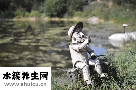 血管型黑眼圈