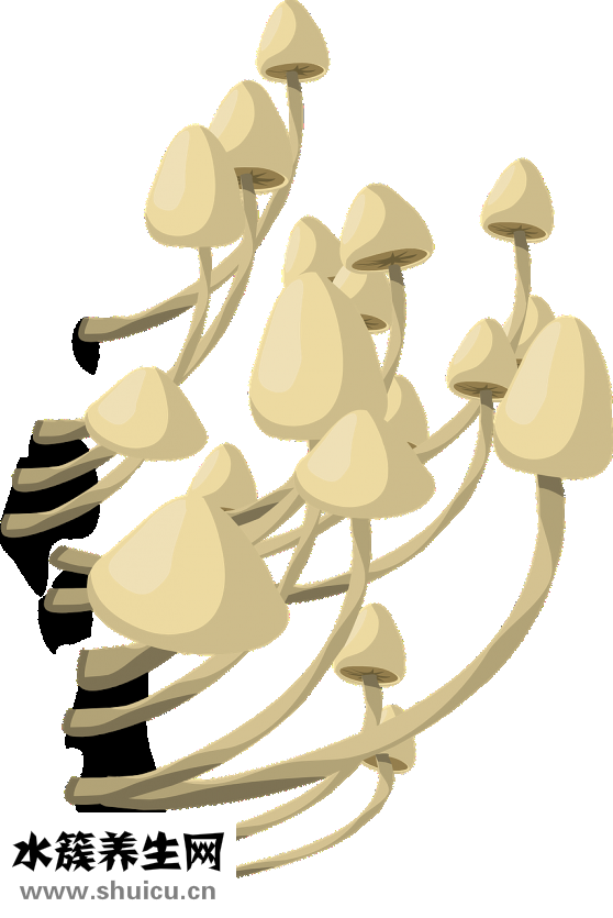 舌苔厚白怎么解决