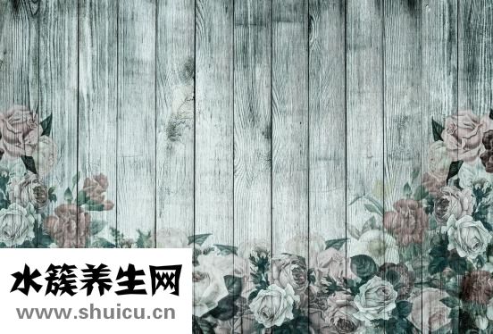 花梨木和黄花梨