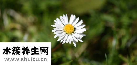 眼袋眼皱纹