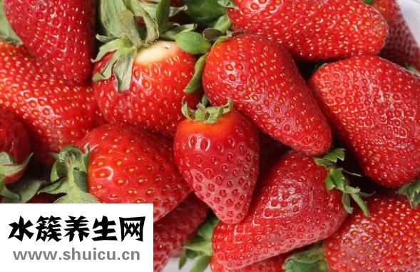 草莓苗的价格