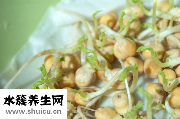 痛风可以吃海带吗