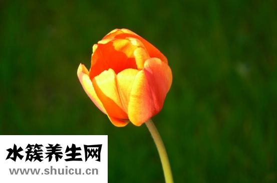 眼袋眼皱纹
