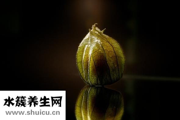 西兰花怎么焯水
