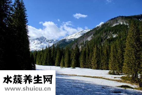 阴离子间隙偏低
