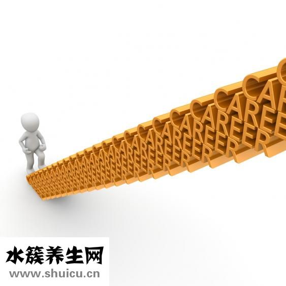 水煮白菜减肥方法