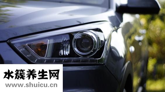 淫羊藿的功能