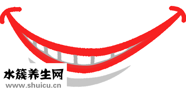 牙刷怎么选