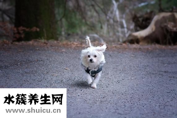 甲醛中毒怎么办