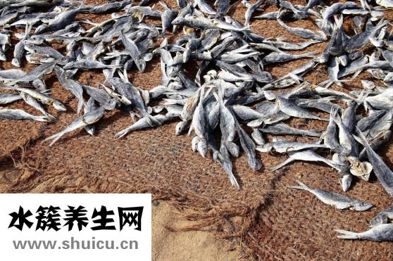 煮饭要放多少水