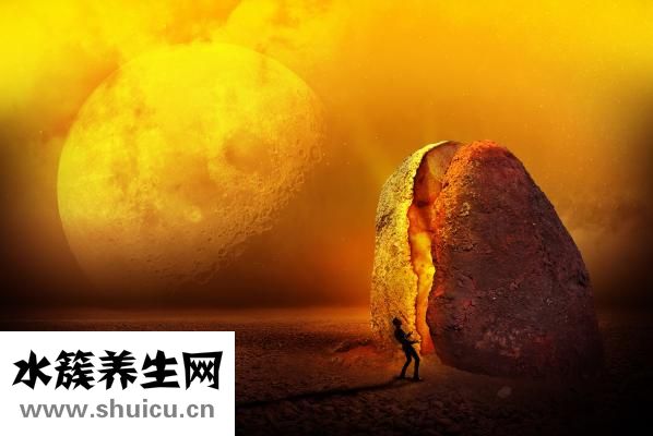 肾脏的位置图片