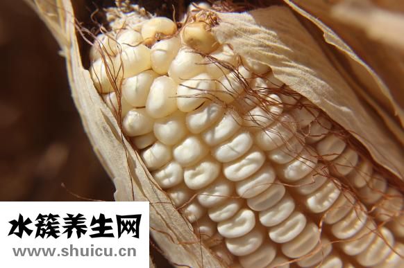 虾仁炒玉米的做法