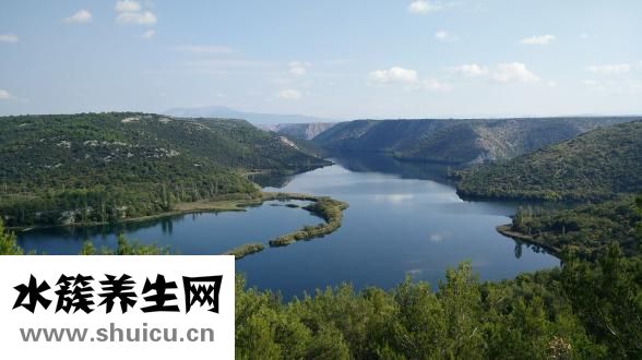 血管型黑眼圈