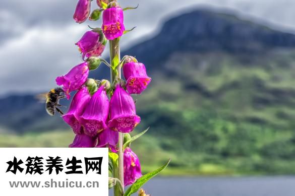 胃胀胃痛是怎么回事
