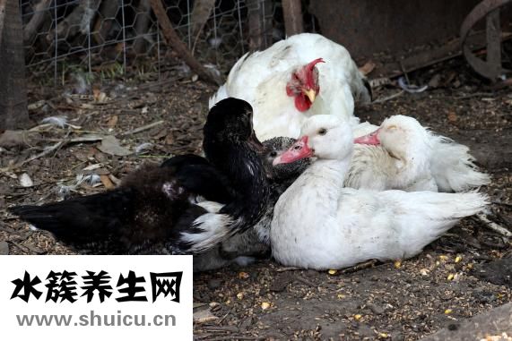 肺部结节做手术