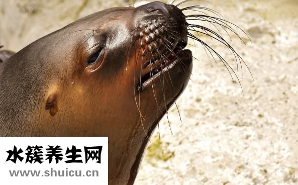 膝关节僵硬
