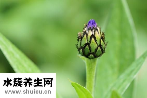 血氧饱和度低的危害