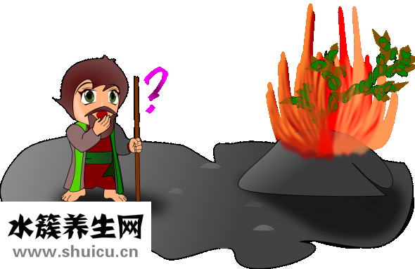长链脂肪酸