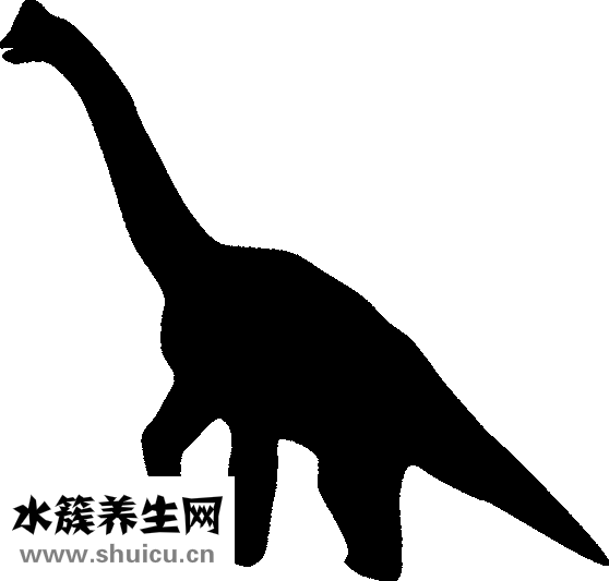 脖子上起疙瘩