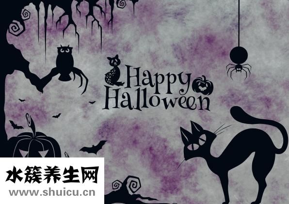 胫神经损伤的症状