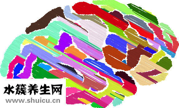 牙体牙髓科